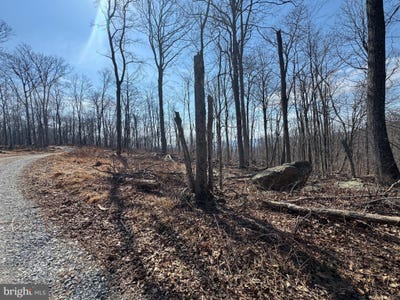 /international/us/middle-point-road-myersville-md-110108259399/