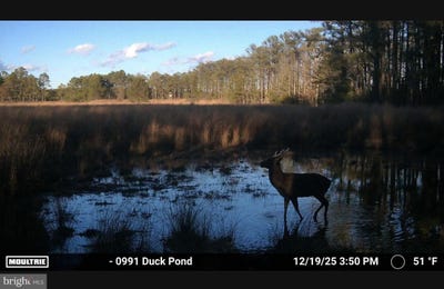 /international/us/2839-lakesville-crapo-road-church-creek-md-110107075863/