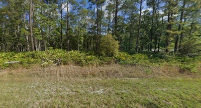 /international/us/608-hickory-nut-trail-satsuma-fl-110103385178/