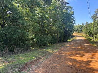 /international/us/tanglewood-trail-lot-1-georgetown-ga-110108357220/