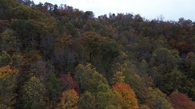 /international/us/roy-hill-rd-hindman-ky-110108423469/