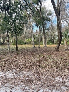 /international/us/ne-164-lane-citra-fl-110104267888/