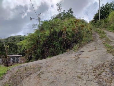 /international/us/bo-indiera-baja-maricao-pr-110106816100/