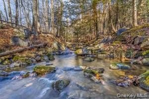 /international/us/tbd-cragsmoor-vista-maria-cragsmoor-ny-110107804011/
