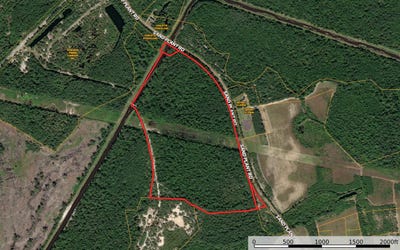 /international/us/sand-plant-rd-nichols-sc-110106154328/