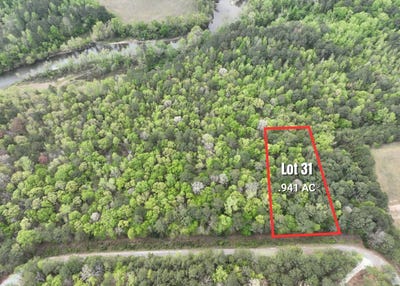 /international/us/lot-31-crystal-cove-wedowee-al-110107573453/