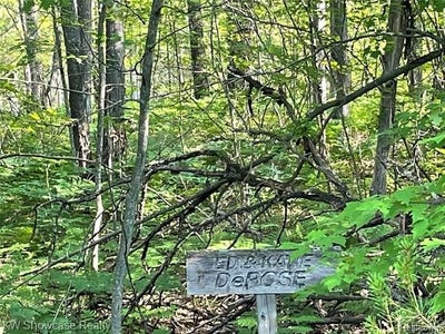 /international/us/141-garland-woods-lane-greenwood-twp-mi-110076088760/
