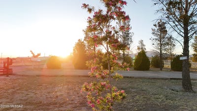 /international/us/2911-w-willow-tree-lane-willcox-az-110108661501/