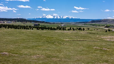/international/us/0-hwy-83-franktown-co-110107267555/