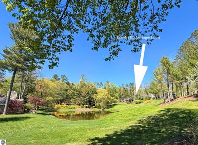 /international/us/3-brook-hill-cottages-glen-arbor-mi-110105776689/