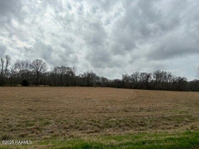 /international/us/grand-prairie-hwy-washington-la-110105416725/