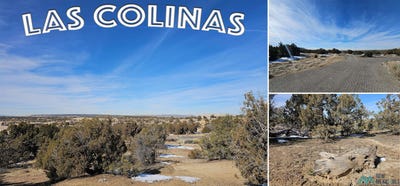 /international/us/1811-placitas-trail-farmington-nm-110108177610/