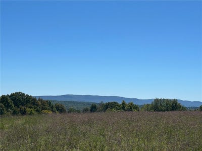 /international/us/00-nc-4216-lot-0-western-grove-ar-110120138790/