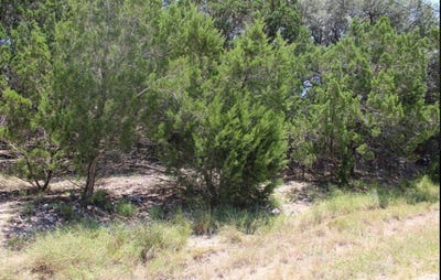 /international/us/1105-rotherman-canyon-lake-tx-110110389424/