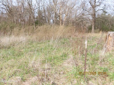 /international/us/172-e-college-street-saulsbury-tn-110104964360/
