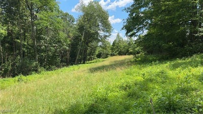 /international/us/point-lookout-road-stockport-oh-110100799706/