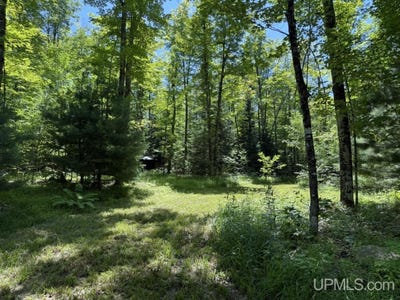 /international/us/33-85-acres-cable-lake-crystal-falls-mi-110101222908/?lang=en