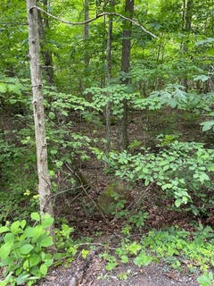 /international/us/0-sandlick-road-princeton-wv-110100479501/