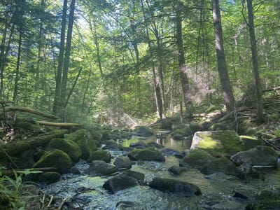 /international/us/161-riddle-road-mineville-ny-110108845302/
