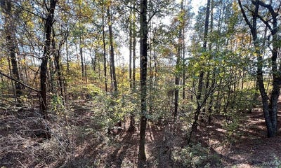 /international/us/allison-drive-lot-4-mccalla-al-110105049855/