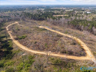 /international/us/westridge-drive-lot-1-trafford-al-110106600289/