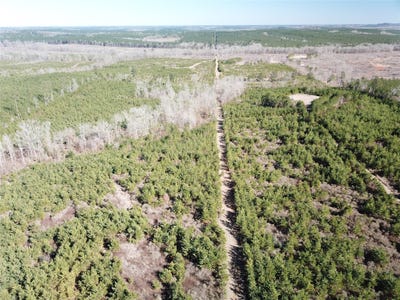 /international/us/hwy-517-gibsland-la-110105802423/