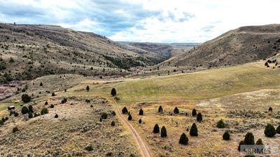 /international/us/dan-creek-road-shelley-id-110107265690/