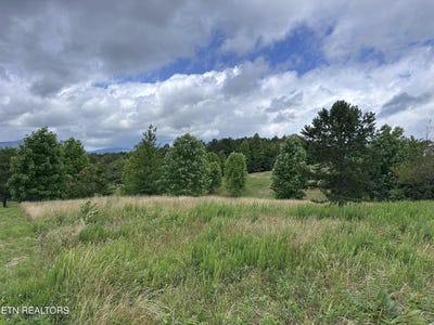 /international/us/tower-rd-grandview-tn-110100344064/