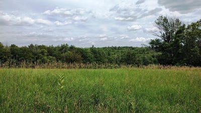 /international/us/map-1-lot-50-colburn-road-new-boston-nh-110100846339/