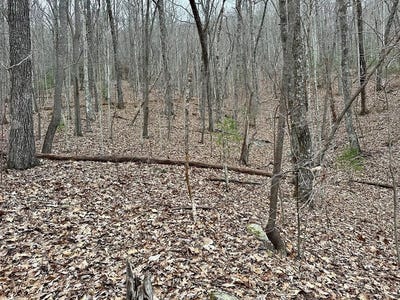 /international/us/15-19-indian-rock-springs-lot-15-19-murphy-nc-110108449239/