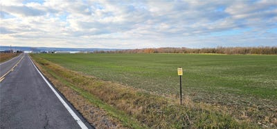 /international/us/kennedy-road-ovid-ny-110103759614/