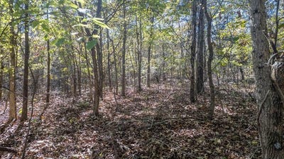 /international/us/cheetowaga-circle-cherokee-village-ar-110108020269/