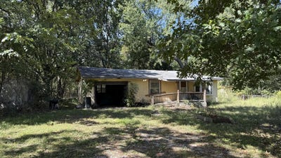 /international/us/2813-n-farm-road-237-strafford-mo-110119989331/
