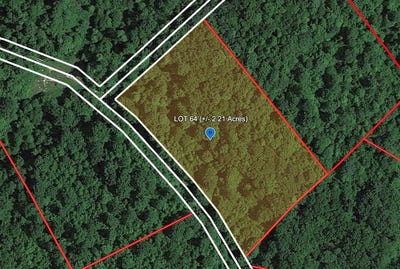 /international/us/120-eagles-nest-ridge-bragg-wv-110103326619/