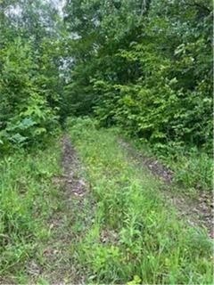 /international/us/26259-county-road-26-garrison-mn-110096650624/
