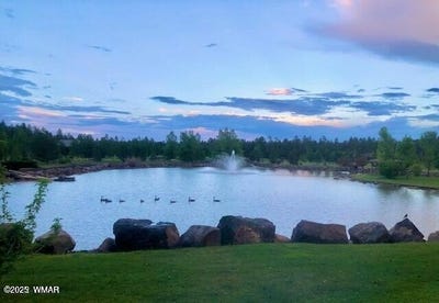 /international/us/9576-sierra-springs-drive-pinetop-az-110100800834/