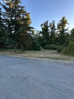 /international/us/78412-snauer-ln-cottage-grove-or-110100901246/