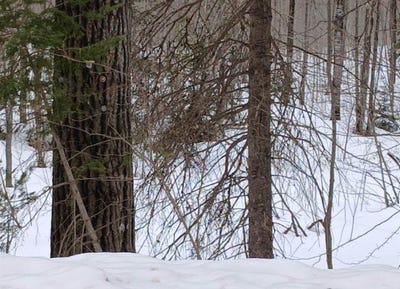 /international/us/lot-1-county-line-lake-crossroad-watersmeet-mi-110107169228/