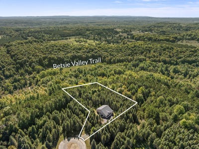 /international/us/1358-s-lipp-farm-road-benzonia-mi-110119603522/