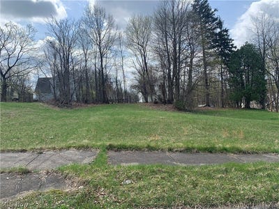 /international/us/861-parkwood-avenue-youngstown-oh-110107536545/