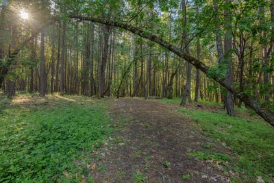 /international/us/355-firview-lane-wilderville-or-110106035978/