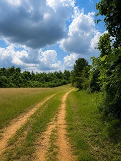 /international/us/settlement-road-detroit-al-110108299599/