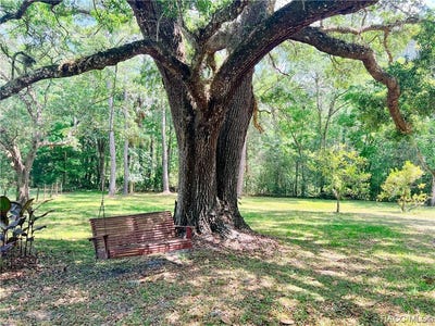 /international/us/6351-se-26th-terrace-inglis-fl-110084158090/