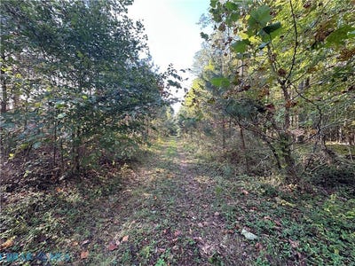 /international/us/plainview-drive-saluda-va-110102851137/