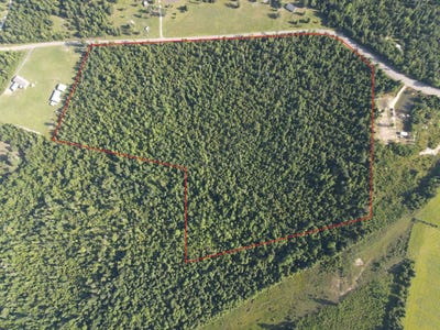 /international/us/tbd-nw-shuman-ferry-rd-altha-fl-110101120325/?lang=zh-tw