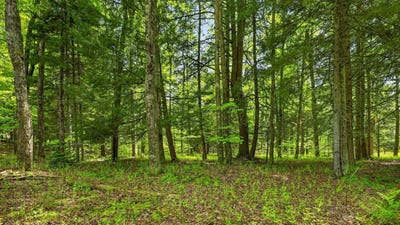 /international/us/l1-6-crystal-brook-path-jefferson-ny-110108395727/