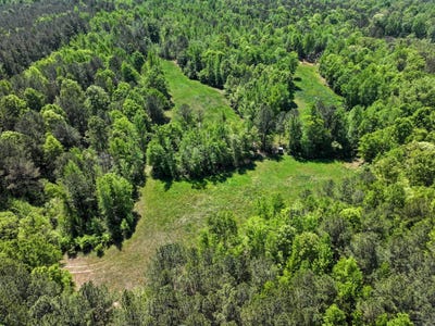 /international/us/zoar-road-saluda-sc-110107686493/