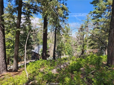 /international/us/586-rose-twin-peaks-ca-110104223729/