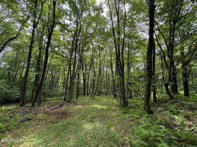 /international/us/off-kettle-road-new-enterprise-pa-110093603638/?lang=es