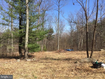 /international/us/padua-lane-sperryville-va-110107928173/